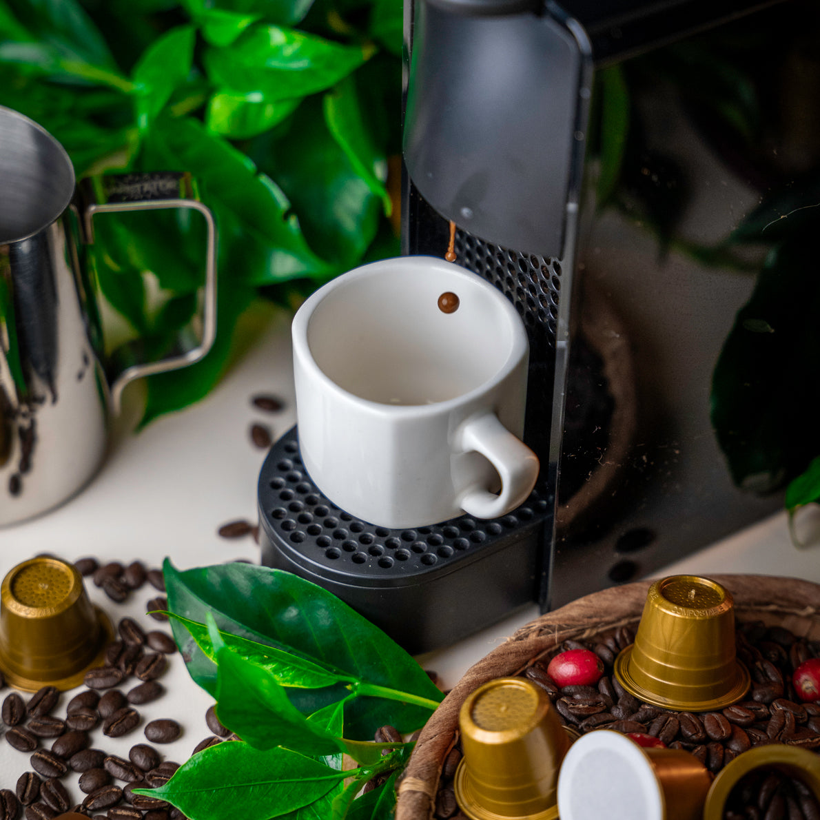 Café Bourbon Pointu Grand Cru - La Coopérative Bourbon Pointu