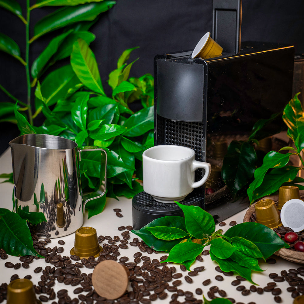 Café Bourbon Pointu Grand Cru - La Coopérative Bourbon Pointu