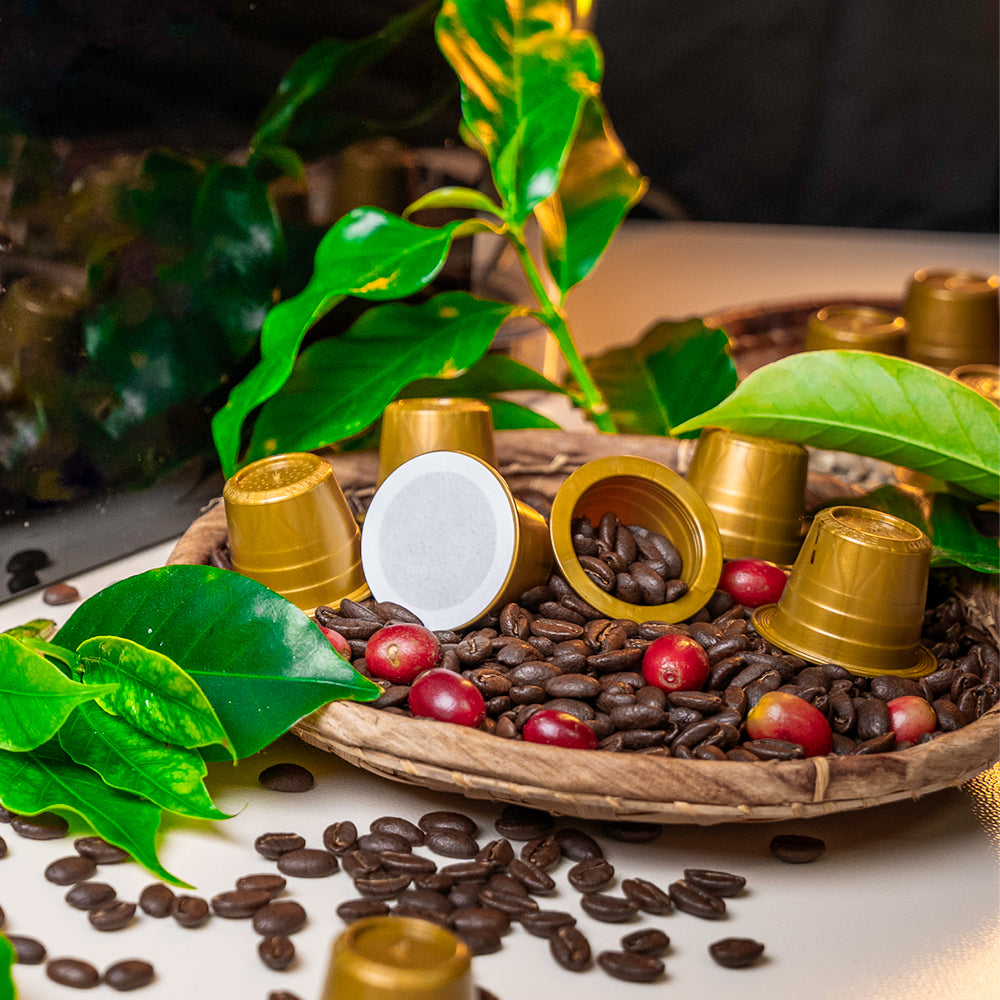 Café Bourbon Pointu Grand Cru - La Coopérative Bourbon Pointu