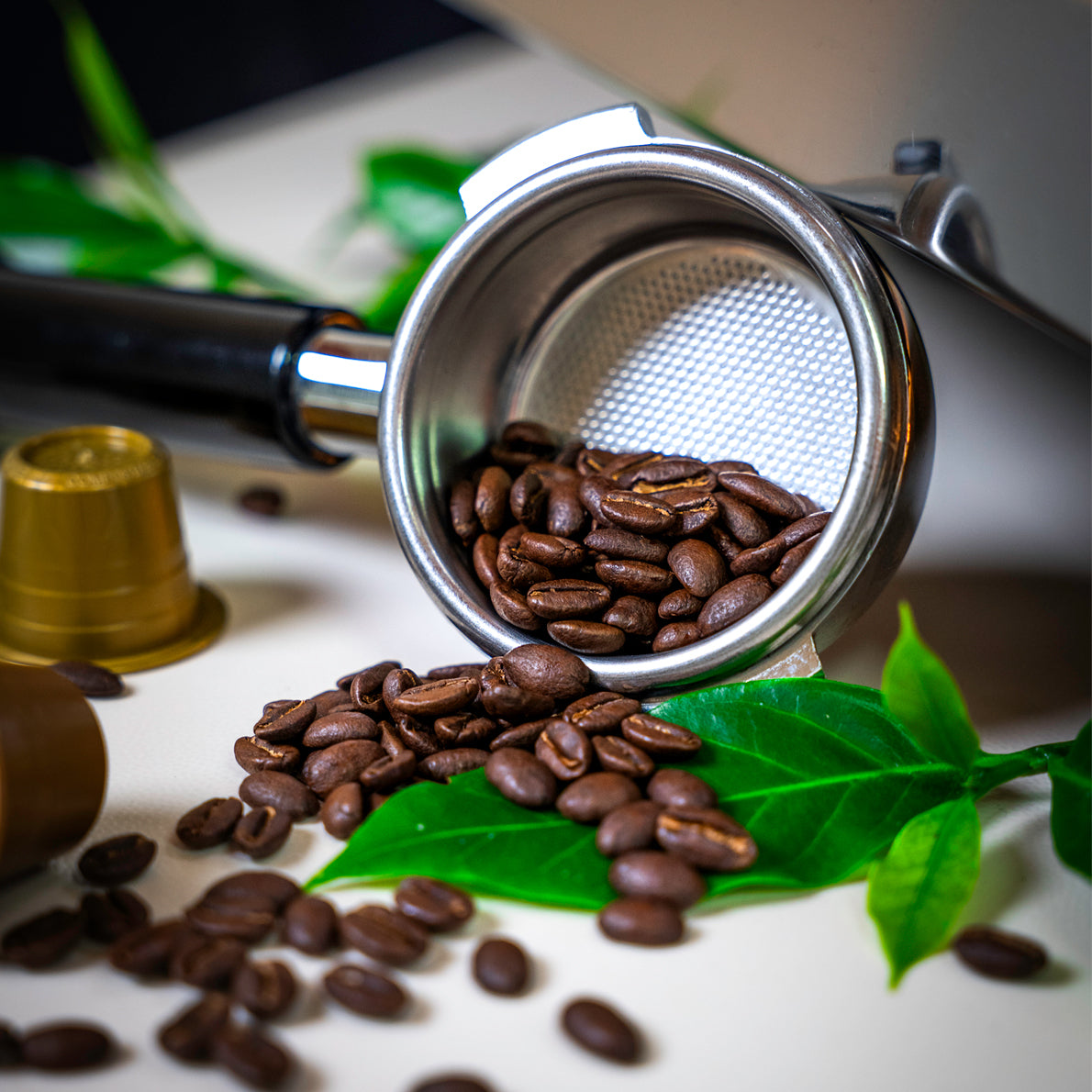 Café Bourbon Pointu Grand Cru - La Coopérative Bourbon Pointu